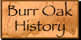 Burr Oak History