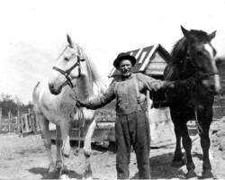 Wes Baker with two horses