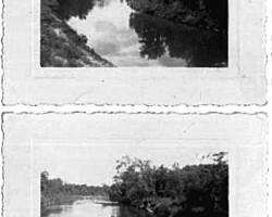 Rifle River summer shoreline, 30 June 1937 | Contributed by Nancy Pataky