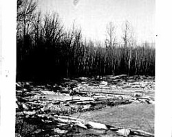 Rifle River iced winter shoreline, 12 Dec 1937 | Contributed by Nancy Pataky