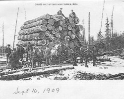 "20,000 Feet of Logs Near Turner, Michigan" postcard, c 16 Sep 1909 | Contributed by Marlene Banks