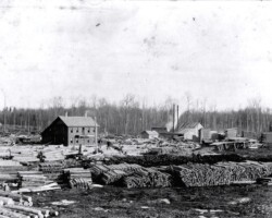 Lumber company along D&M RR, Turner, Michigan; date unknown | Contributed by Angela Kellog