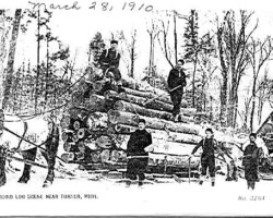 "Loading log scene near Turner, Mich" postcard, c 28 Mar 1910 | Contributed by Marlene Banks