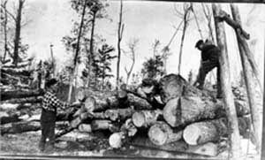 Logging in the U.P.