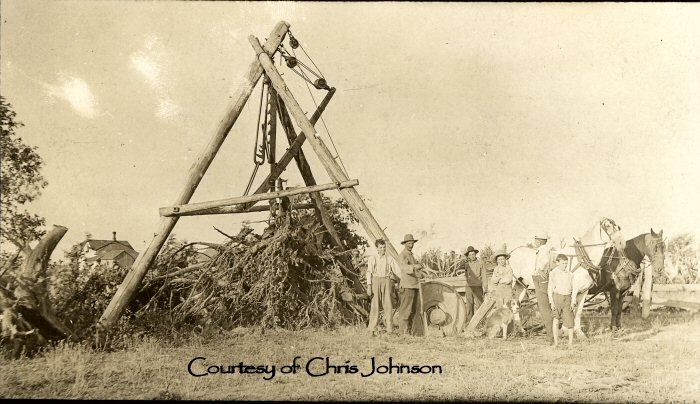 Stump Pulling