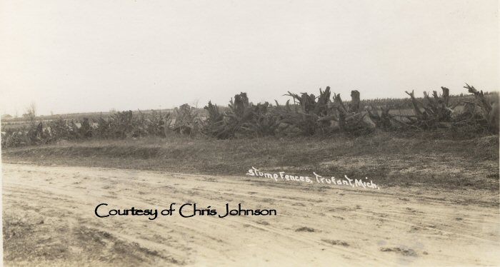 Stump Fences